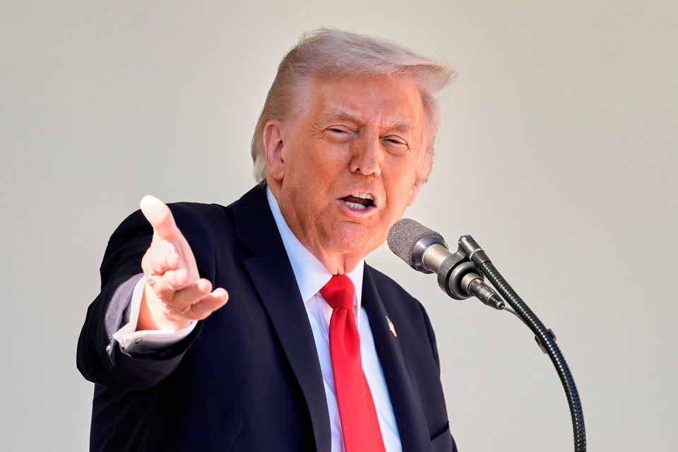 US president Donald Trump. Photo: AP